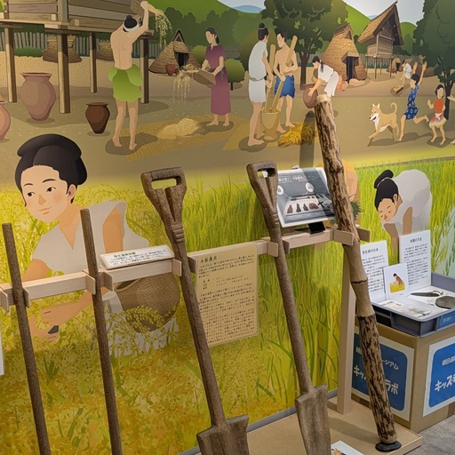 あいち朝日遺跡ミュージアム08