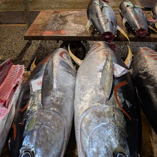 イチバ体験ランド03