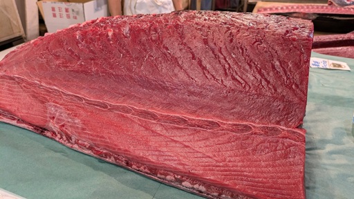 イチバ体験ランド01